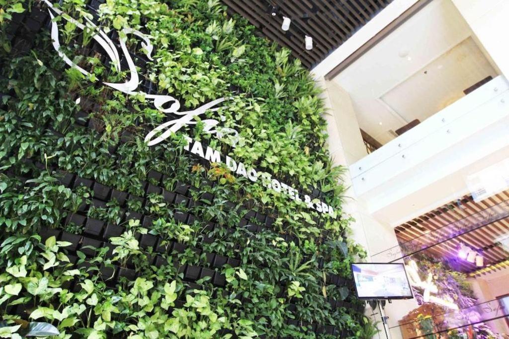 Thang Loi Tam Dao Hotel エクステリア 写真